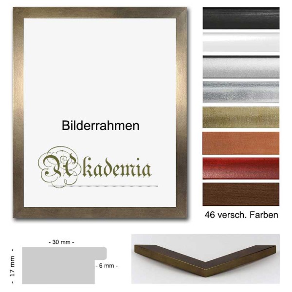 Panorama Bilderrahmen 20x90 / 90x20 cm, Akademia