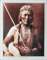 Wolf Apsaroke Wolf Apsaroke