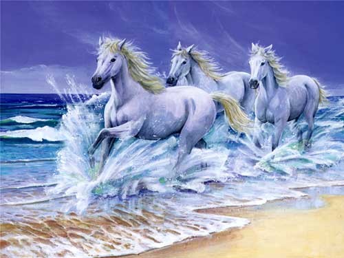 Pferde am Wasser Dufex Alubild 16x21 cm