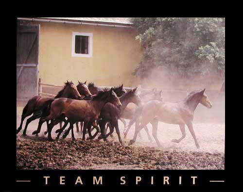 Poster für Büro 40x50 cm Motivation Team Spirit