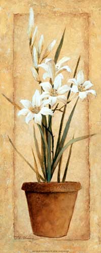 Delicate Lilies Kunstdruck 20x50 cm