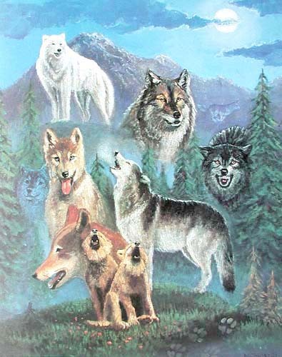 Poster 40x50 cm: Wolfsmontage von Marianne Caroselli