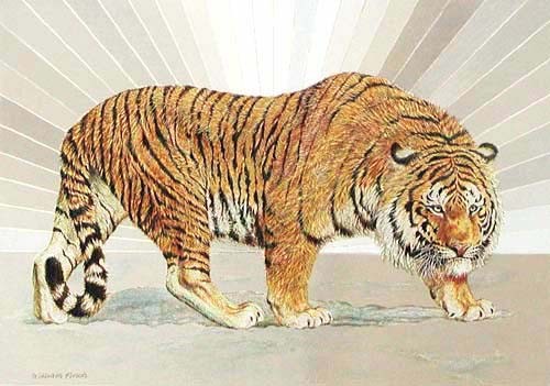 Sibirischer Tiger Dufex Postkarte