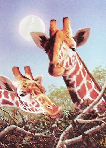 Zwei Giraffen von Anthony Casay - Dufex Alu Bild im Format 16x21 cm