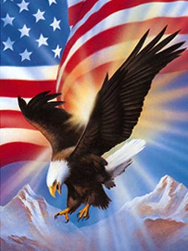 Weißkopfseeadler und USA Fahne Poster