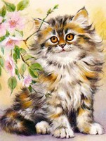 Perserkatze Perserkatze