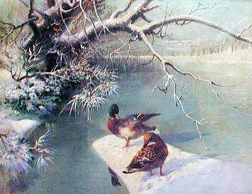 Entenvögel sitzen im Schnee und schauen auf den kalten Teich herunter Dufex Bild