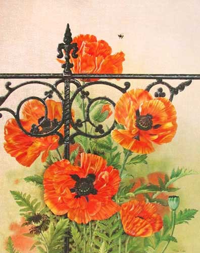 Poppies by Michelle Emblem