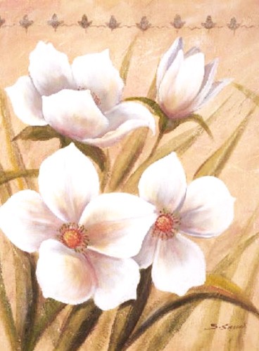 Vier weiße Blumen, S. Sauci