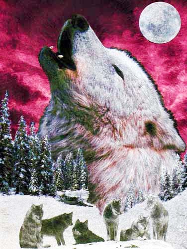 Wolfsrudel bei Vollmond Alubild