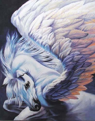 Wings by Sue Dawe