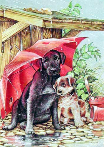 Kleine Hunde unter Regenschirm Postkarte