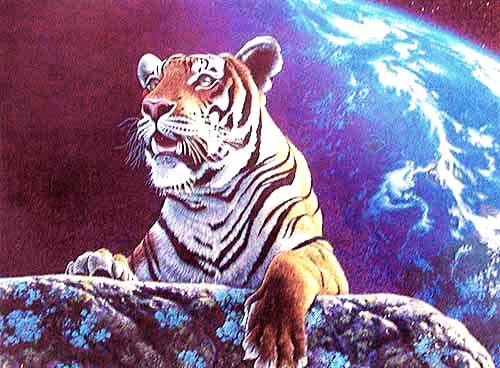 Tiger im Weltall von William Schimmerl Fantasy Dufex Bild 16x21 cm
