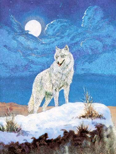 Dufex Alubild 16x21 cm: Weißer Wolf by Marianne Caroselli (Wölfe)