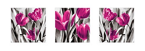 Tulpen