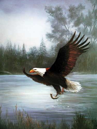 Seeadler beim Fischfang Poster 40x50