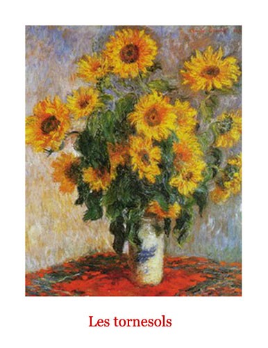 Les Tornesols, Sonnenblumen