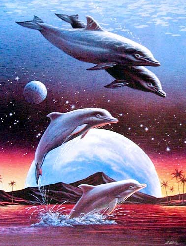 Dufex Alu Bild Leaping Dolphins, Alan Metz