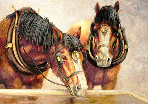 Pferde an Tränke Alu- Postkarte 10x15 cm: A Well Deserved Drink von Daphne Baxter 