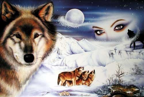 Poster im Großformat Wölfe im Schnee