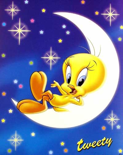 Tweety Moon, Tweety auf Halbmond Poster 40x50 cm