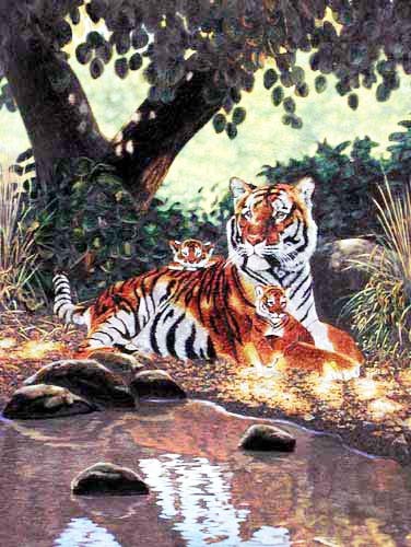 Tiger mit Jungen Dufex Alubild 16x21 cm