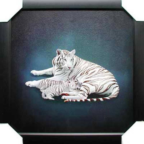 Wandbild Weiße Tiger 56x56 cm