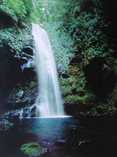 Wasserfall fließt in den See Poster