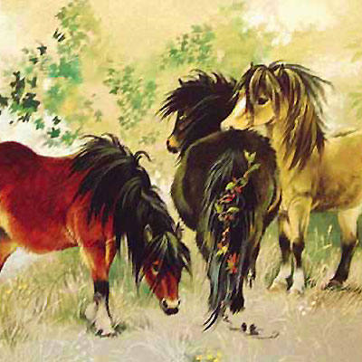 Ponys / Hasen / Kaninchen