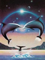 Liebe im Universum – Kissing Porpoise von Alan Metz Dufex Bild Liebe im Universum – Kissing Porpoise von Alan Metz Dufex Bild