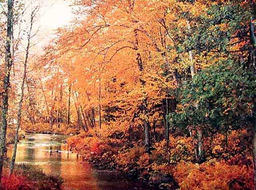 Herbstliche Landschaft mit Fluss Alu Bild