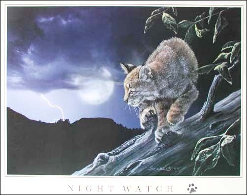 Luchs bei Vollmond Poster 40x50 cm