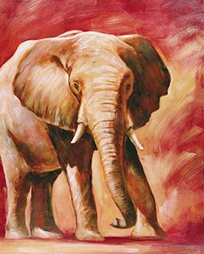 Reflexion der Leidenschaft – Elefant Portrait Poster 40x50 cm