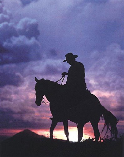 Cowboy/ Sunset