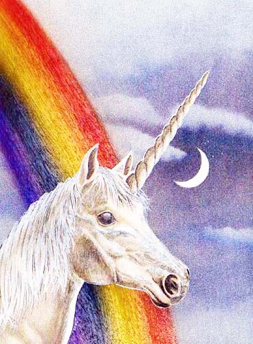 Einhorn und Regenbogen Bild