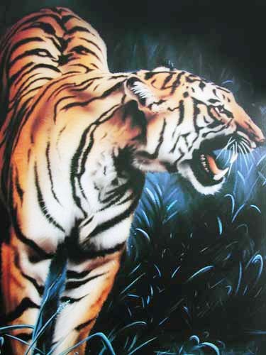 Tiger bei Nacht Poster 40x50 cm