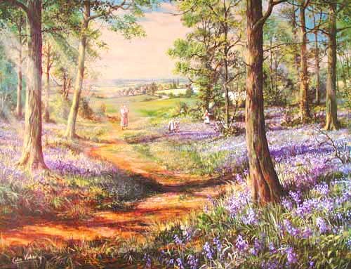 Bluebell Wood by Colin Vokes