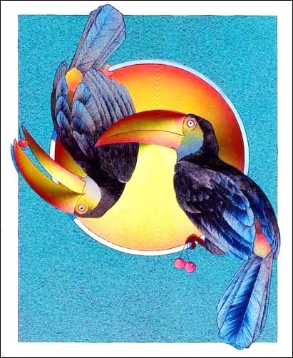Toucan Swing by David Henderson