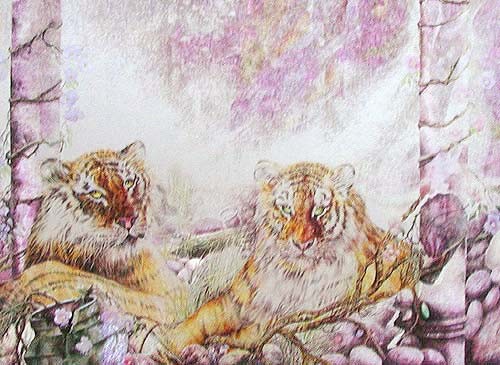 Tiger, Dufex Alubild 16x21 cm
