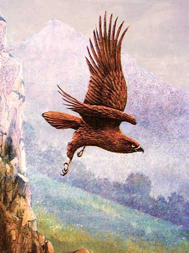 Alubild 16x21 Steinadler fliegt durch eine märchenhafte Landschaft 