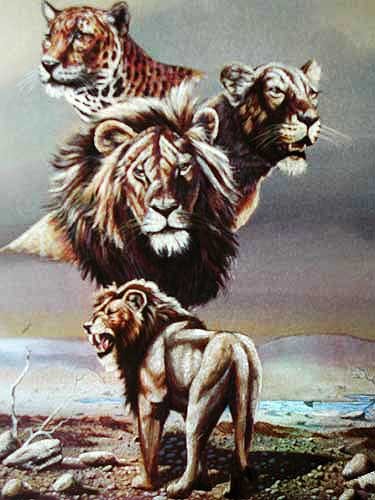 Dufex Alubild 16x21 cm: Löwenmontage von Gary Ampel