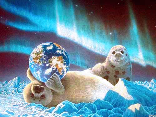 Robben und die Planet Erde unter Nordlichern -Dufex Alu Bild 16x21