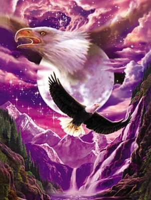 USA Flagge 90x150 Cm – Weißkopfseeadler & Meeräsche Design, Polyester, Wetterfest, Mit Messingösen