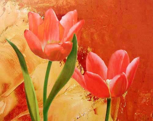 Rote Tulpen