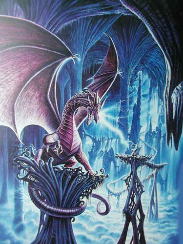 Drache und Zauberer Poster 50x70