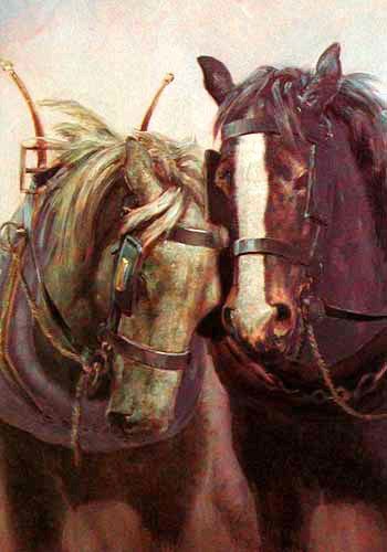Zwei Pferde Postkarte