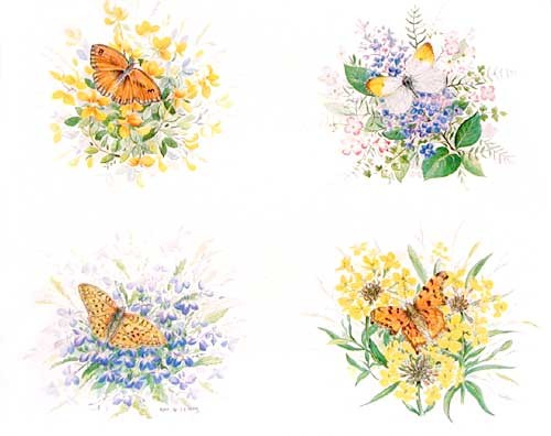 Schmetterlinge Dufex Alu Bild im Format 21x26 cm