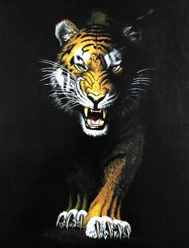 Stalking Tiger by Chris Hiett *