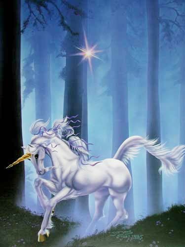 Einhorn im Wald Poster 40x50