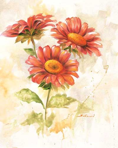 Margeriten, S. Sausi